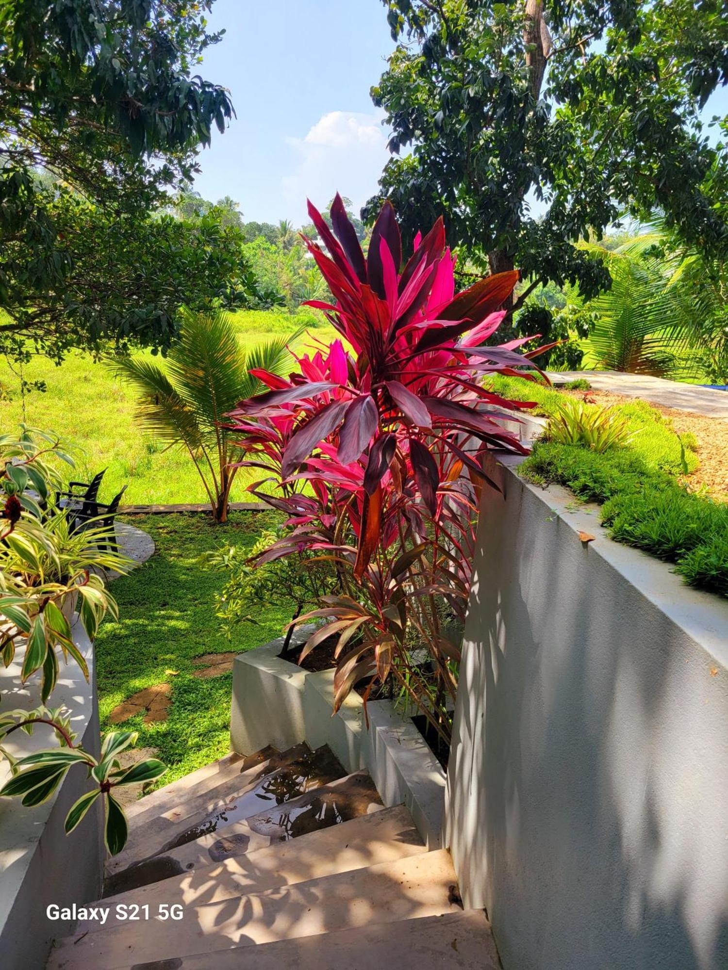 Barefoot Bungalow Hikka Хіккадува Екстер'єр фото