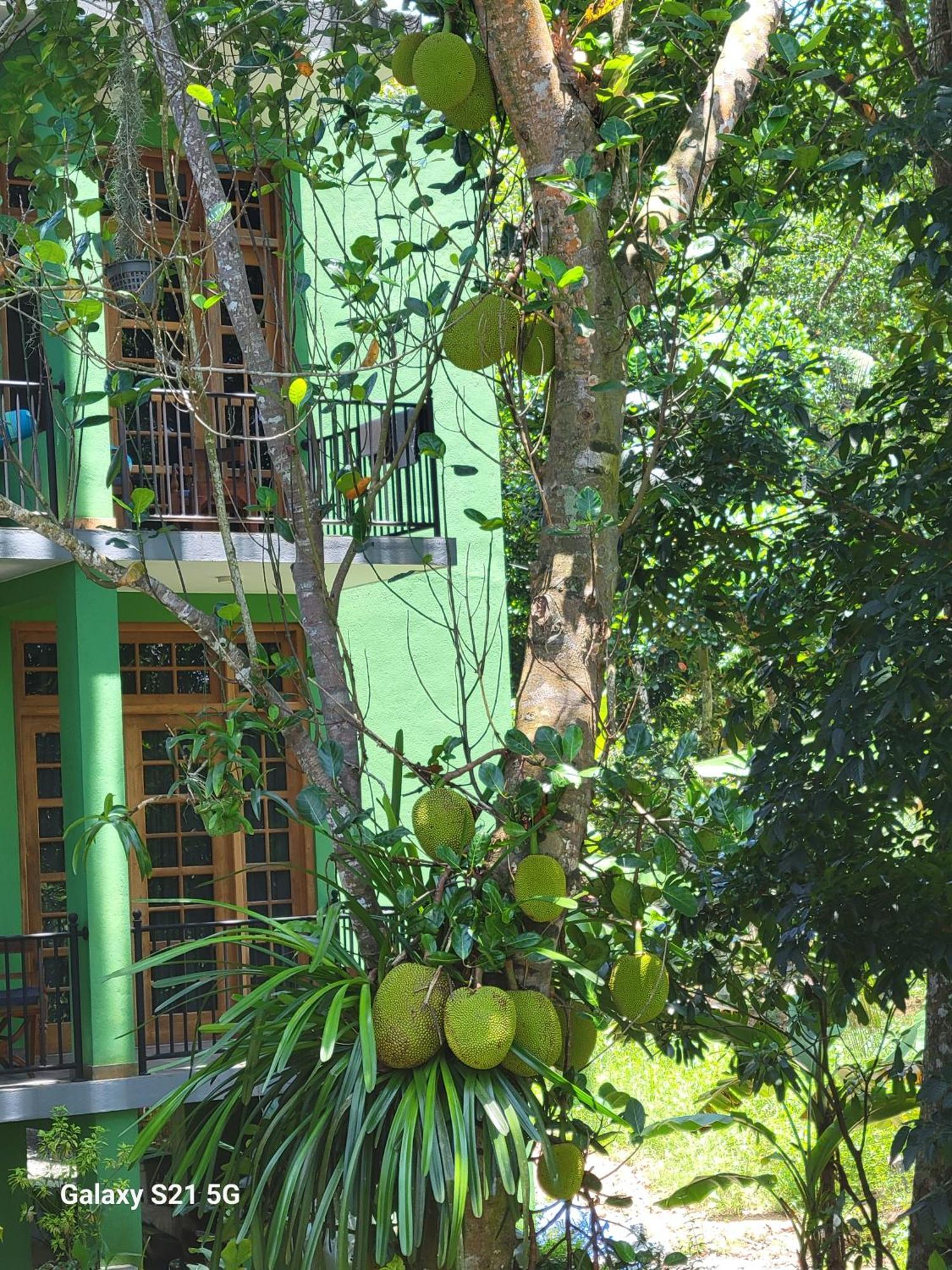 Barefoot Bungalow Hikka Хіккадува Екстер'єр фото