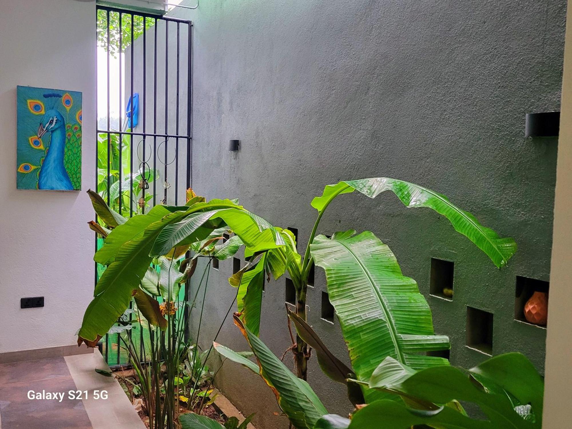 Barefoot Bungalow Hikka Хіккадува Екстер'єр фото